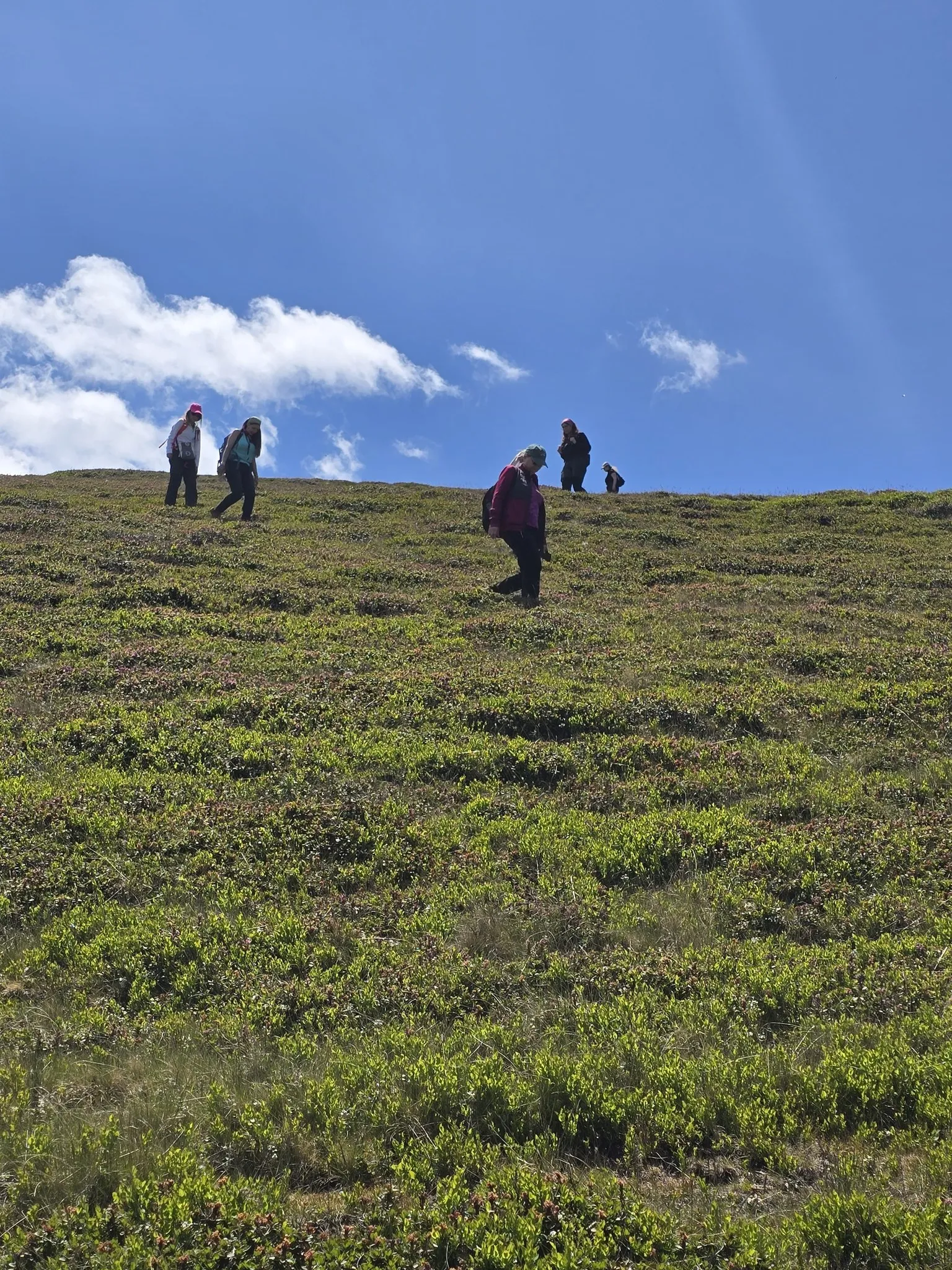 Aplicație_practică2