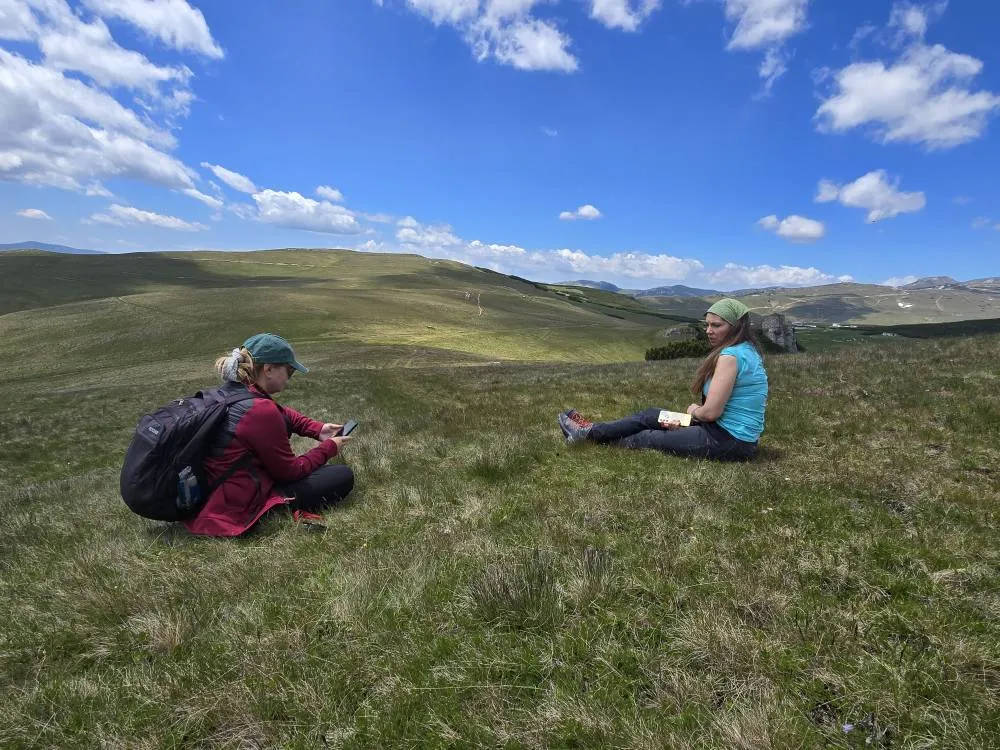 Aplicație_practică3