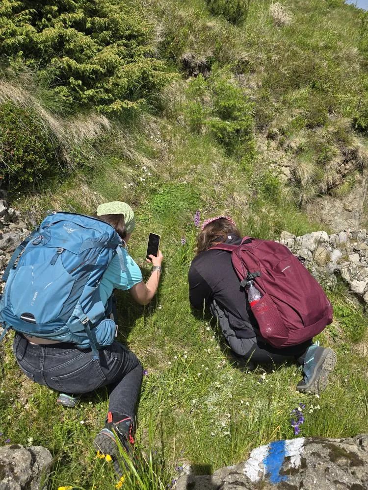 Aplicație_practică5