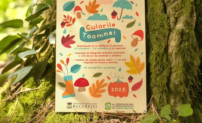 culorile toamnei