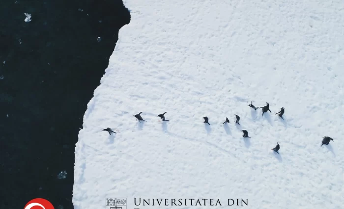 expeditie antarctica unibuc roice universitatea din bucuresti polul sud
