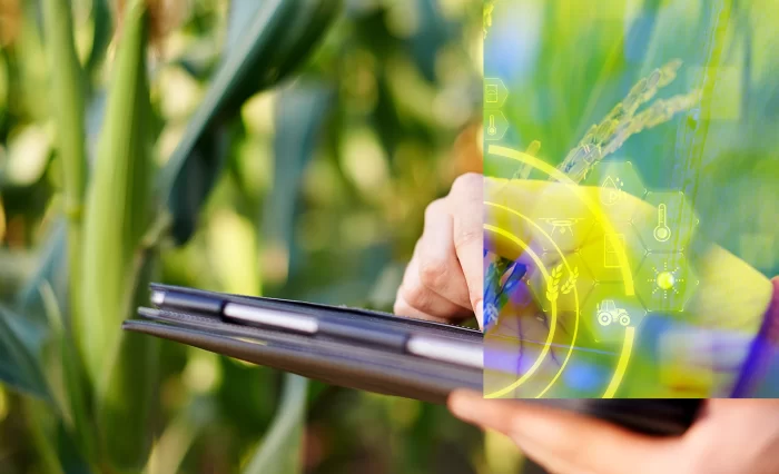 stire evenimente ICUC 5 nov var 2