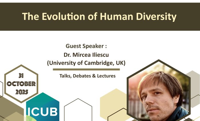 stire the evolution of human diversity