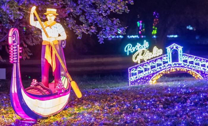 garden of lights bucuresti gradina luminilor universitatea din bucuresti unibuc small world unibuc