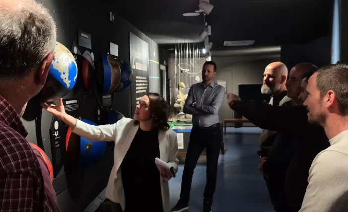 Design fără titlu (29)