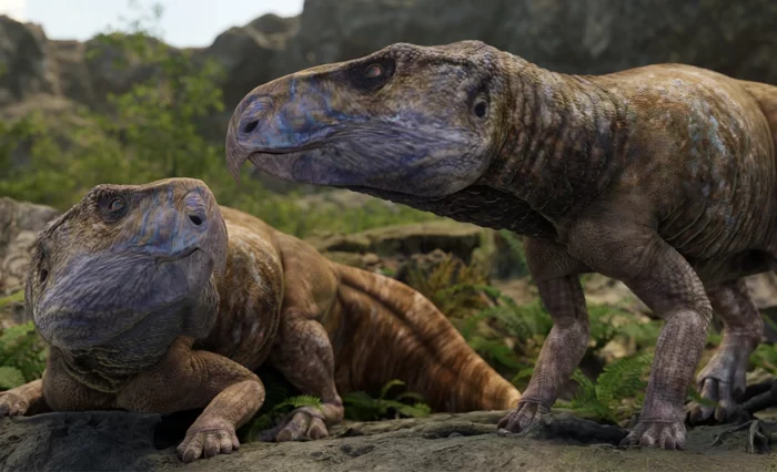 dinozauri ceratopsieni unibuc geoparcul unesco tara hategului universitatea din bucuresti slider