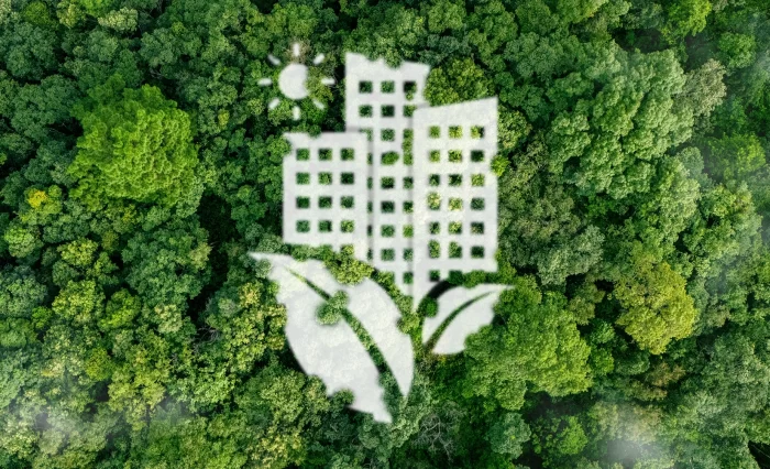 Urban Ecology și Universitatea din București - Workshop Harmonizing stire
