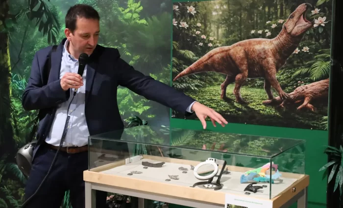 Design fără titlu (58)