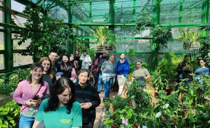 Design fără titlu (69)