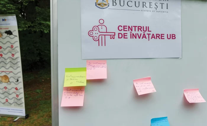 face festivall fotos28