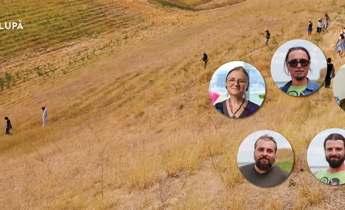 slider_Sultana-Malul Roșu copy