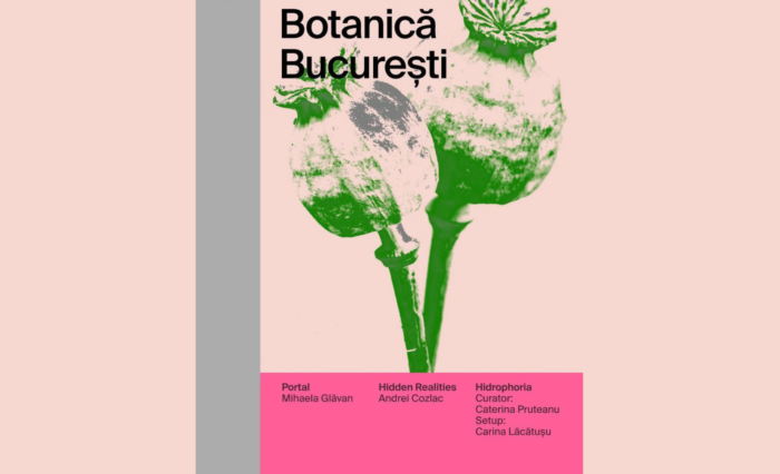 Design fără titlu - 2026-10-05T103428.923